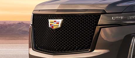 SPORT GRILLE
