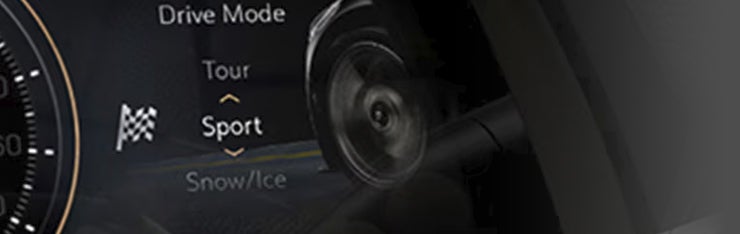 DRIVER MODE SELECTOR