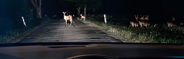 6 2l supercharged v8 engine