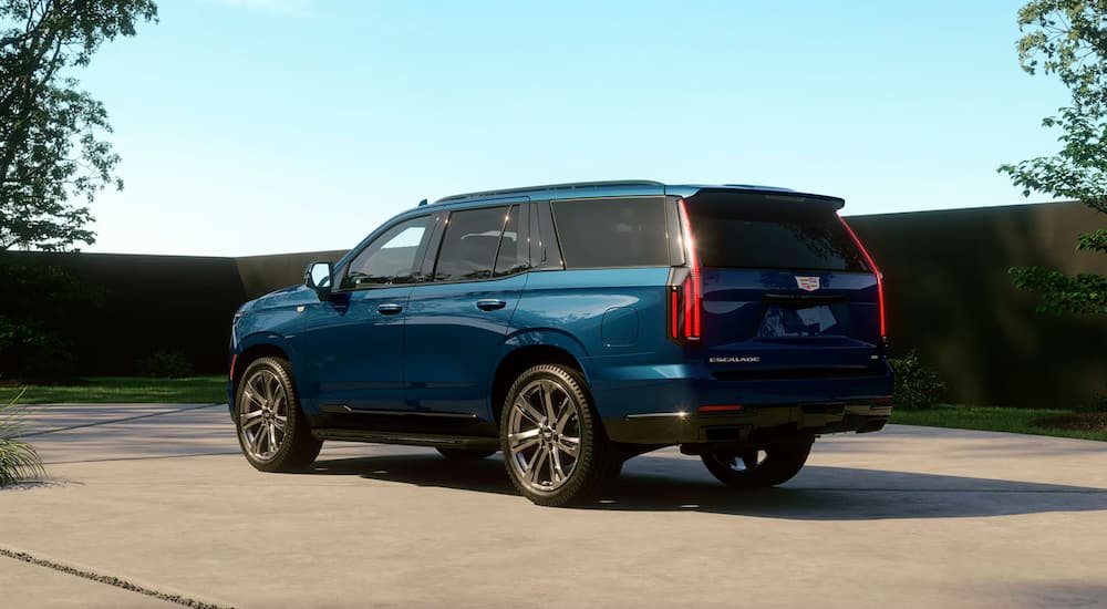 Rear of a blue 2027 Cadillac Escalade parked on a pavement.