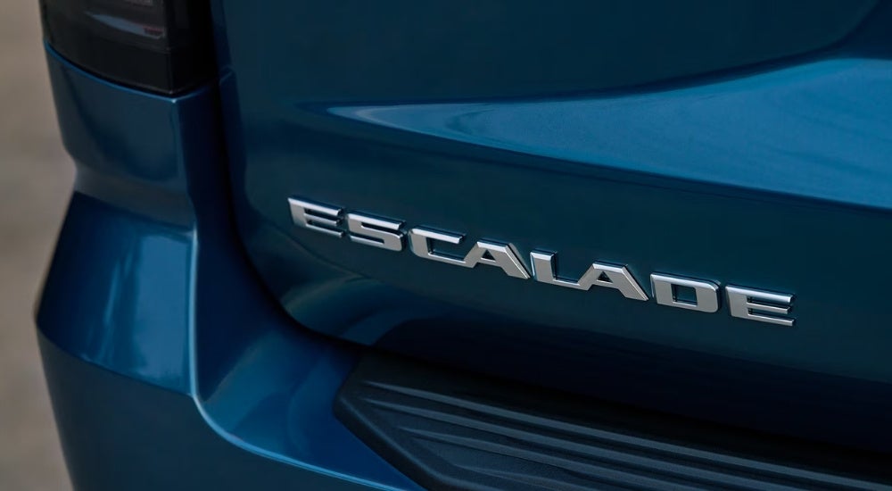A close-up shows an Escalade badge on a 2025 Cadillac Escalade.