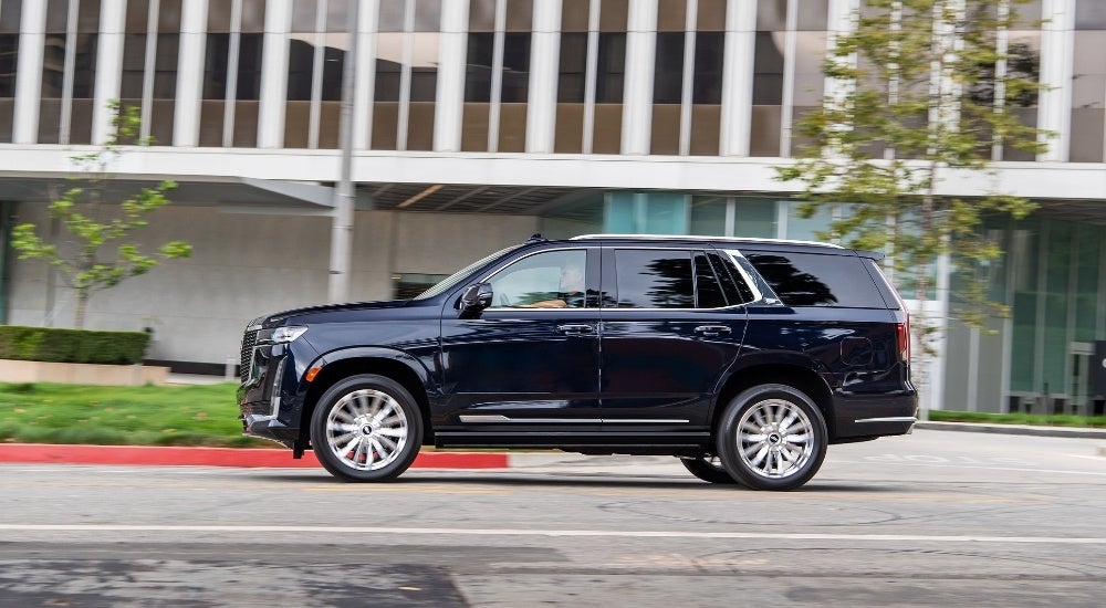 A dark blue 2021 Cadillac Escalade is shown from the side driving on a city street.