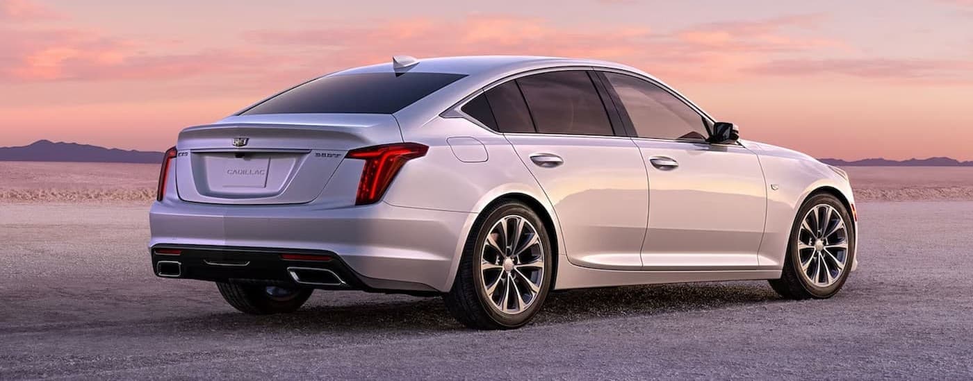 A white 2024 Cadillac CT5 parked offroad.