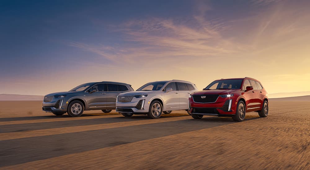 Three 2025 Cadillac XT6 for sale in Mankato driving on dirt