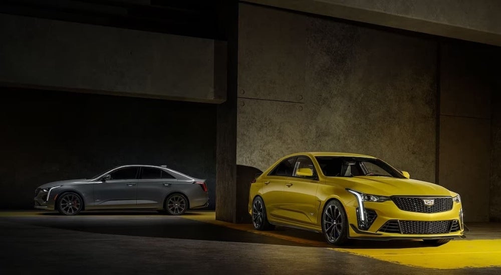 A grey 2024 Cadillac CT4-V and a yellow CT4-V Blackwing are shown in a garage.