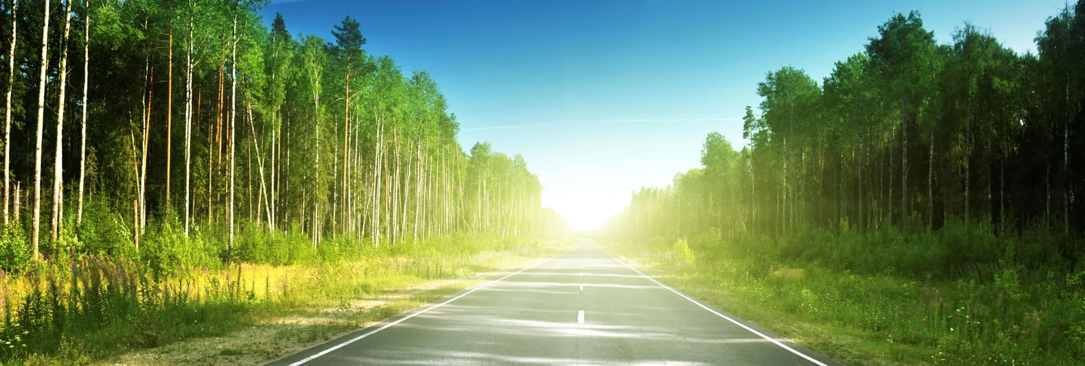 summerbanner