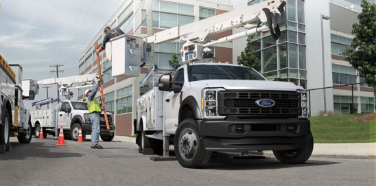 Ford Pro Insure