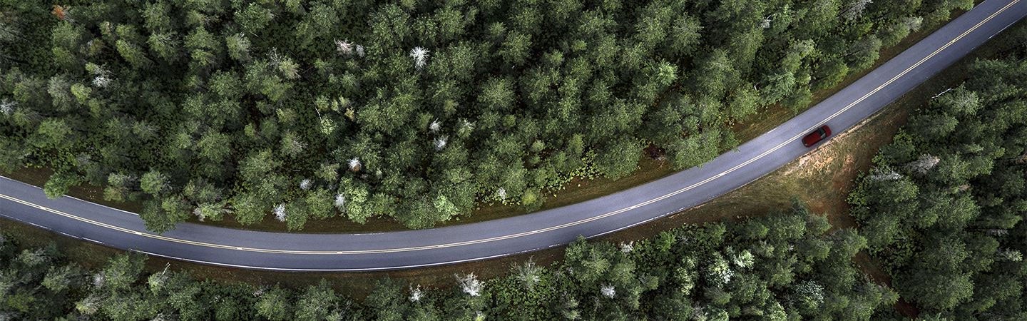 Driving in woods