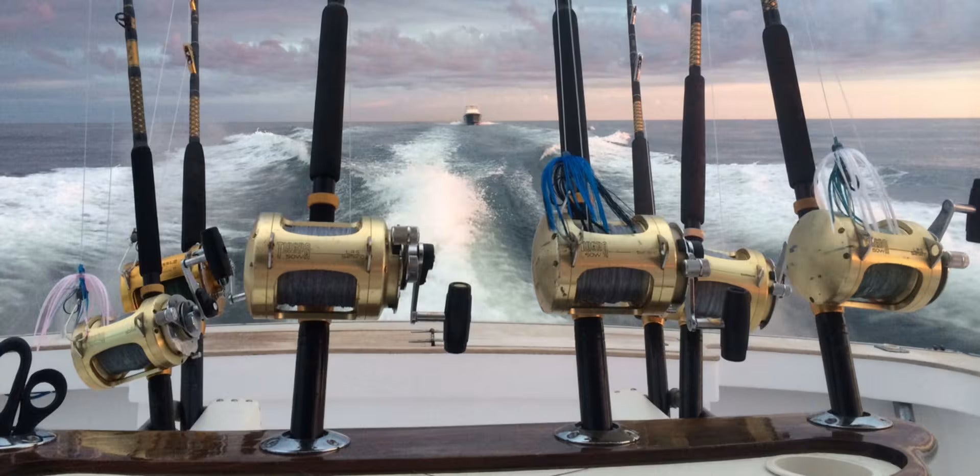 Deep Sea Fishing Rods