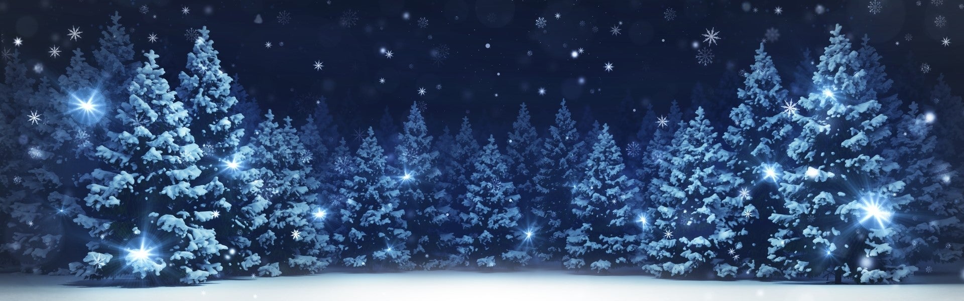 Trees in snow