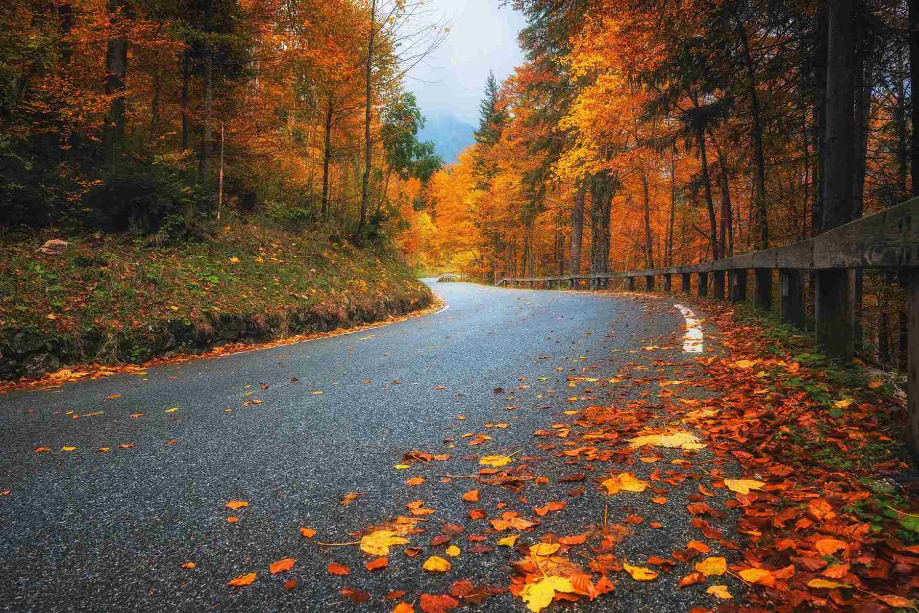 Fall Color Drive
