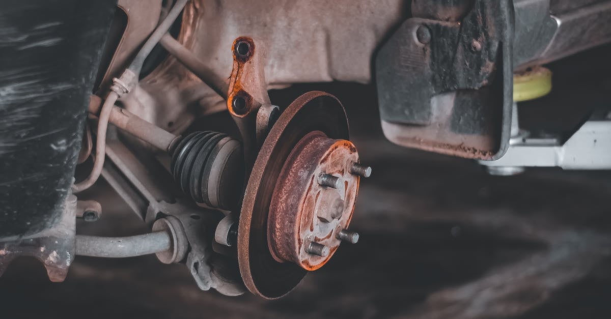 downloaded-image