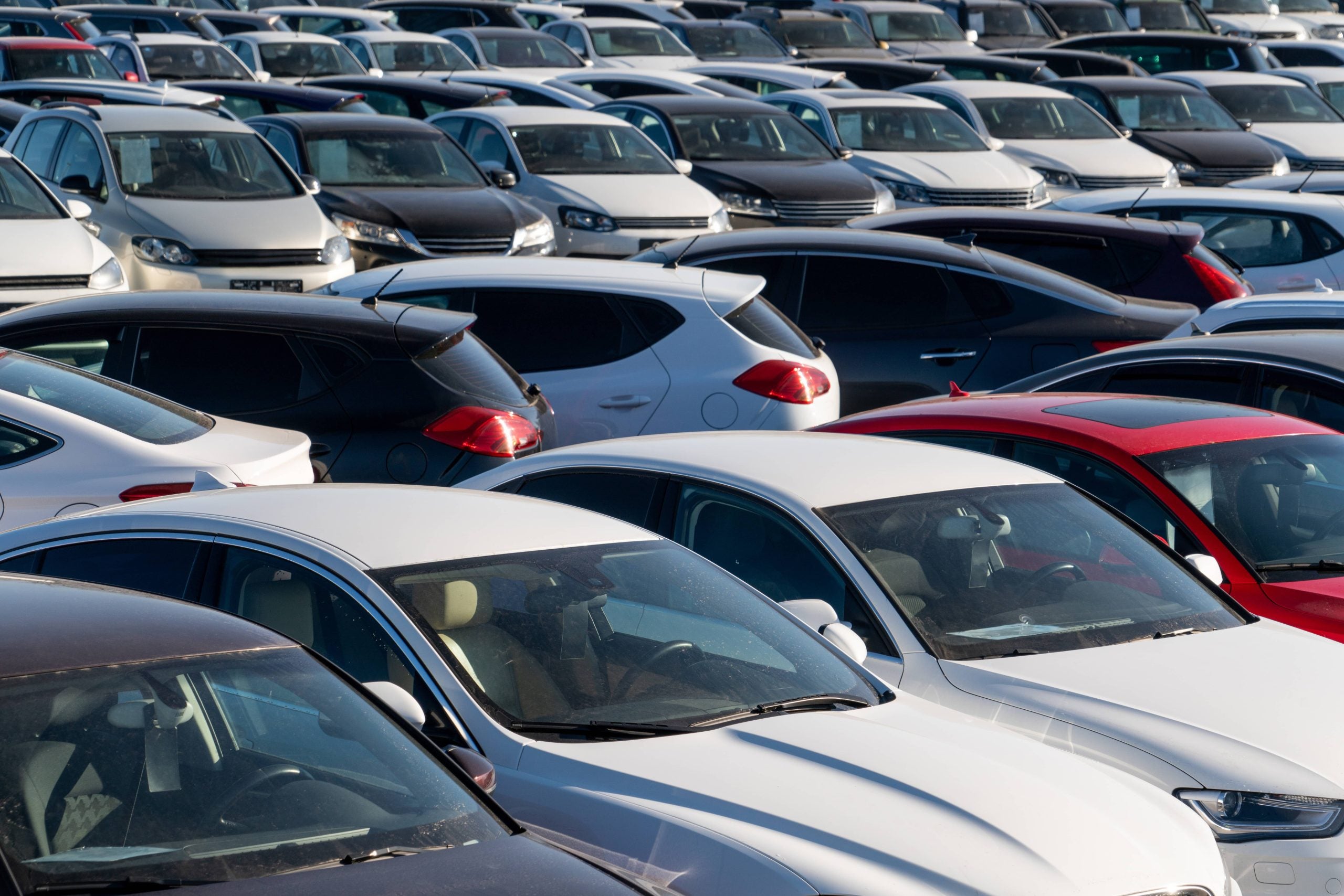 Used cars throughout a used car lot