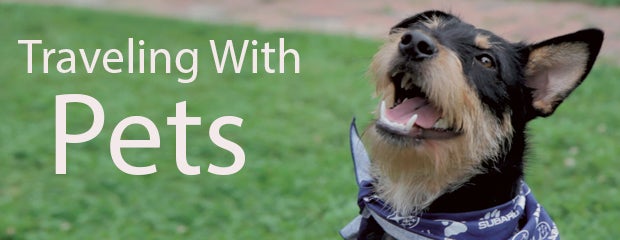 Traveling with pets