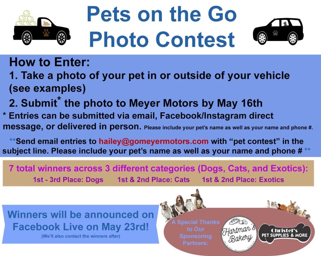 Pet Contest Details