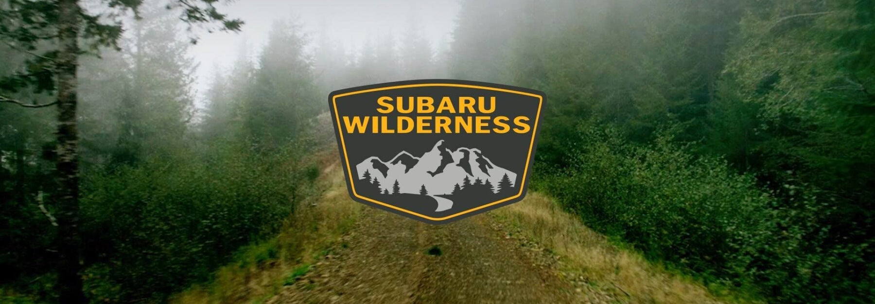 2023 Subaru Wilderness Models | Miller Hill Subaru