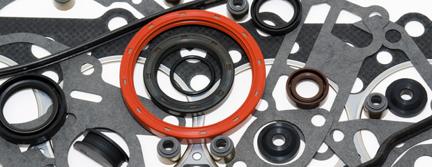A collection of various engine gaskets and seals, including a prominent red circular seal, arranged on a white surface, conveying a mechanical theme.