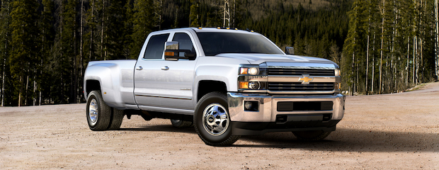 A silver pickup truck is parked on a dirt clearing, surrounded by a forest of tall pine trees. The scene conveys a rugged and adventurous tone.