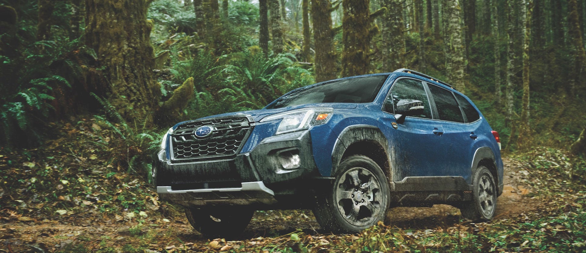 Subaru Forester Wilderness