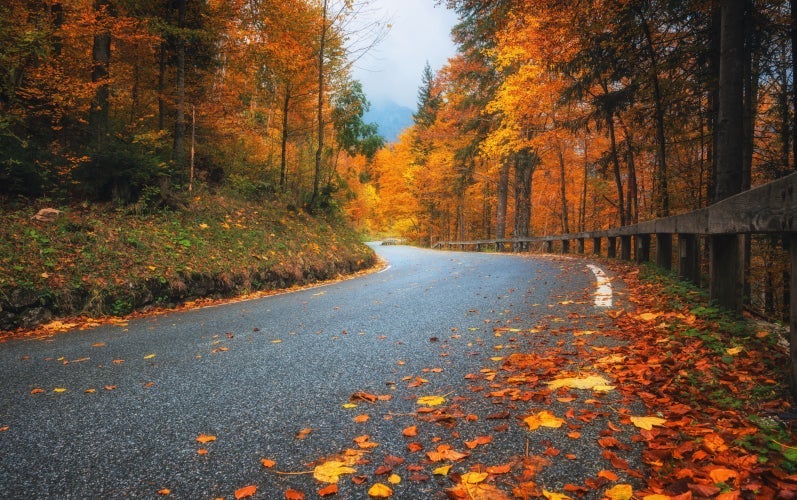 Autumn road