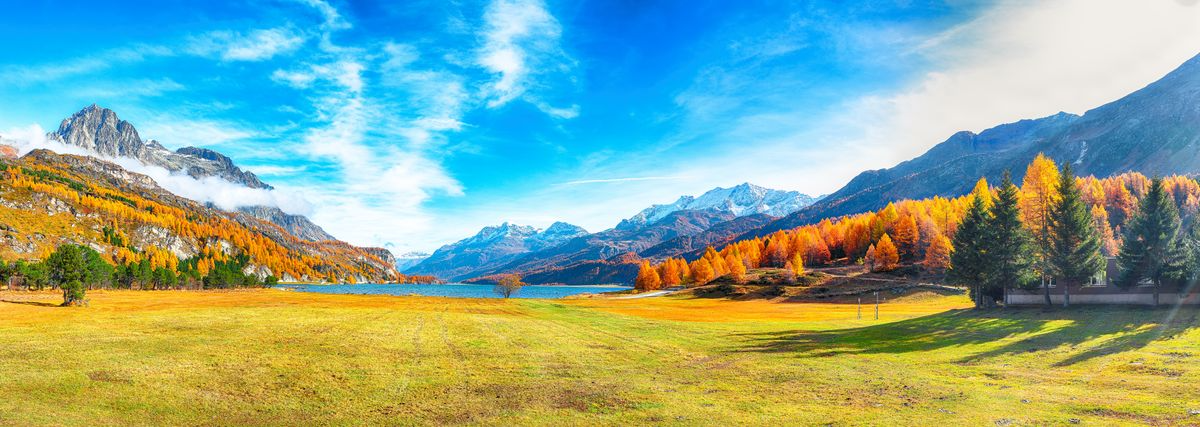 nature