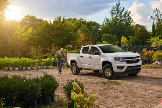 A white pickup truck is parked in a lush garden center, surrounded by various potted plants. A person carrying plants walks nearby. The scene is peaceful with sunlight filtering through the trees, conveying a serene, rural setting.