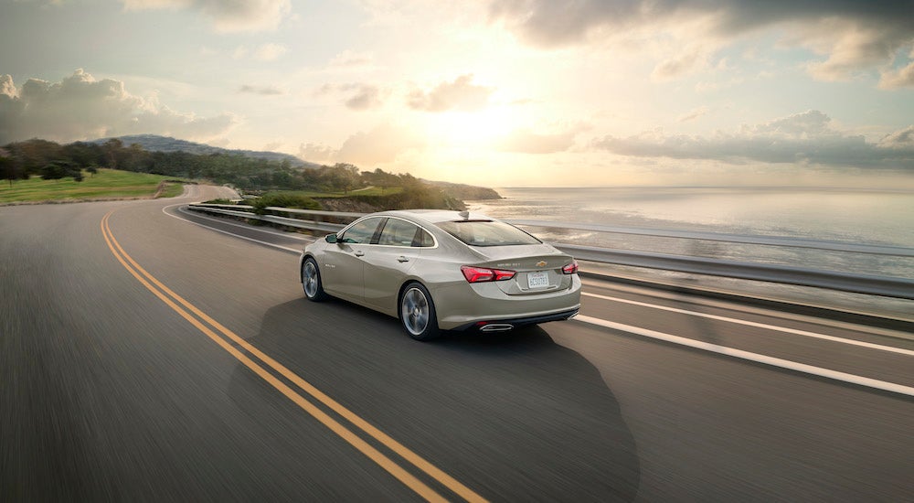 A tan 2024 Chevy Malibu from the rear.