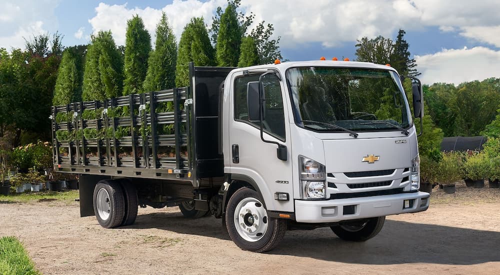 White 2023 Chevy 4500 Low Cab Forward with trees in the bed.