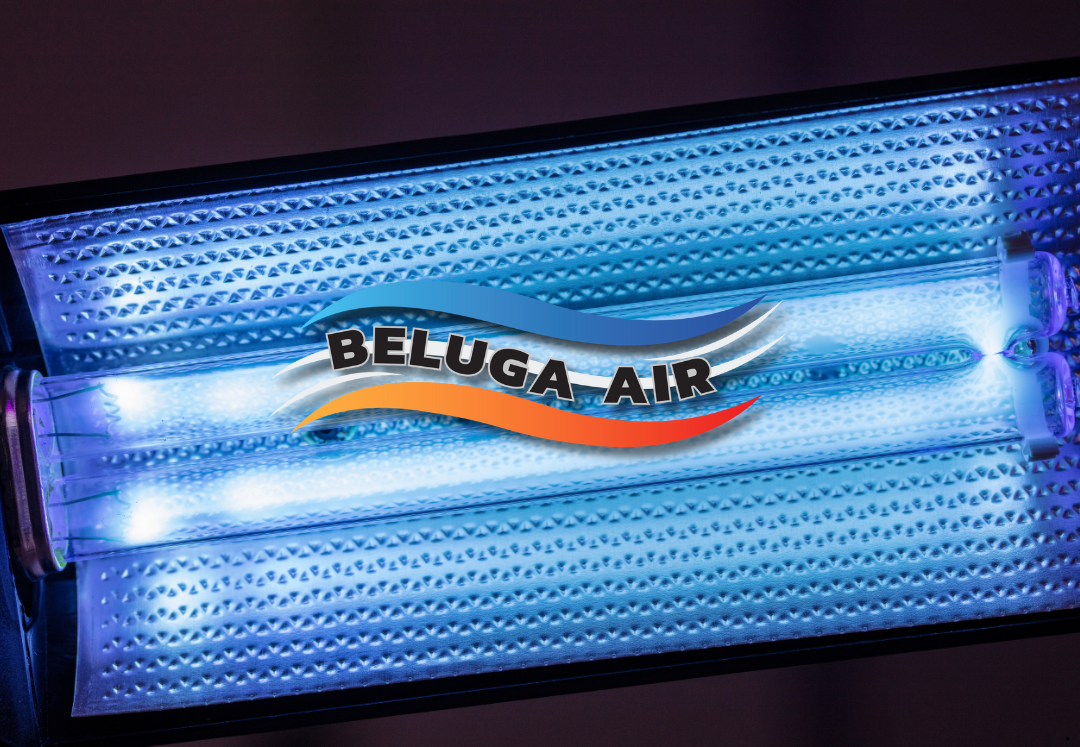 UV light is an essential component for maintaining a healthy environment.