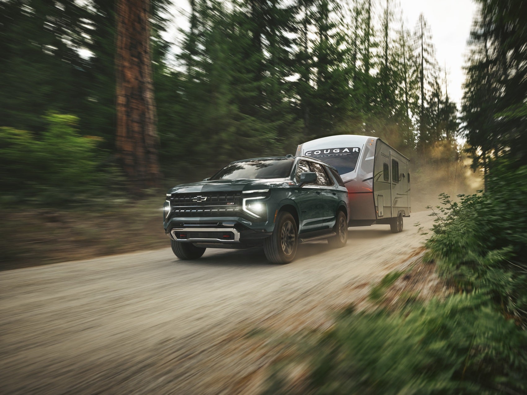 Chevrolet Proctor MN