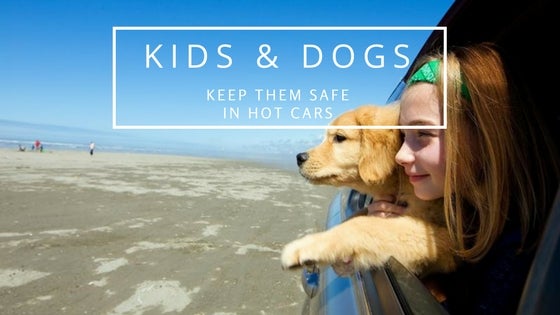 Keeping Kids &amp; Dogs Safe