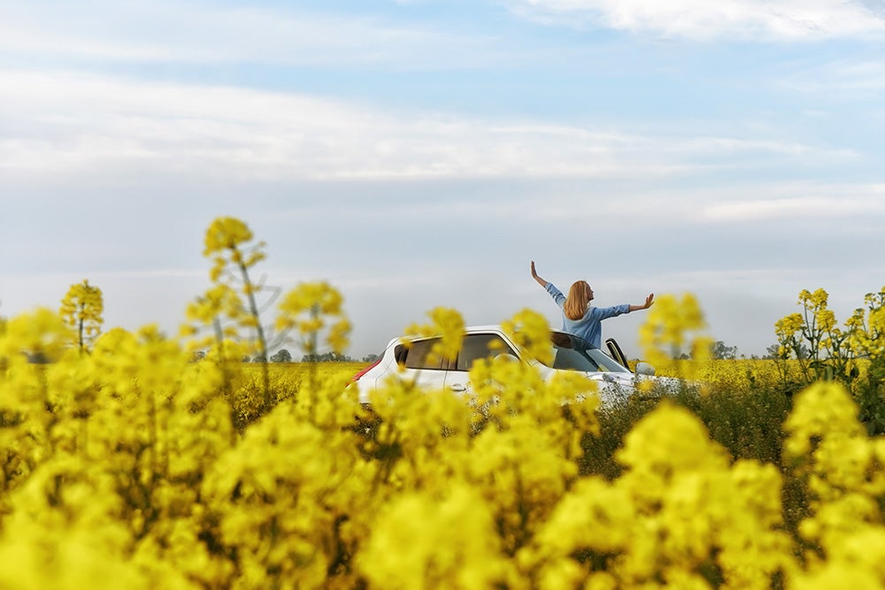 Chevy SUV in a field of flowers