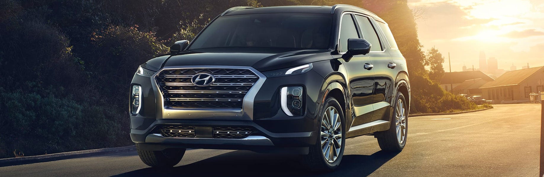 2020 palisade