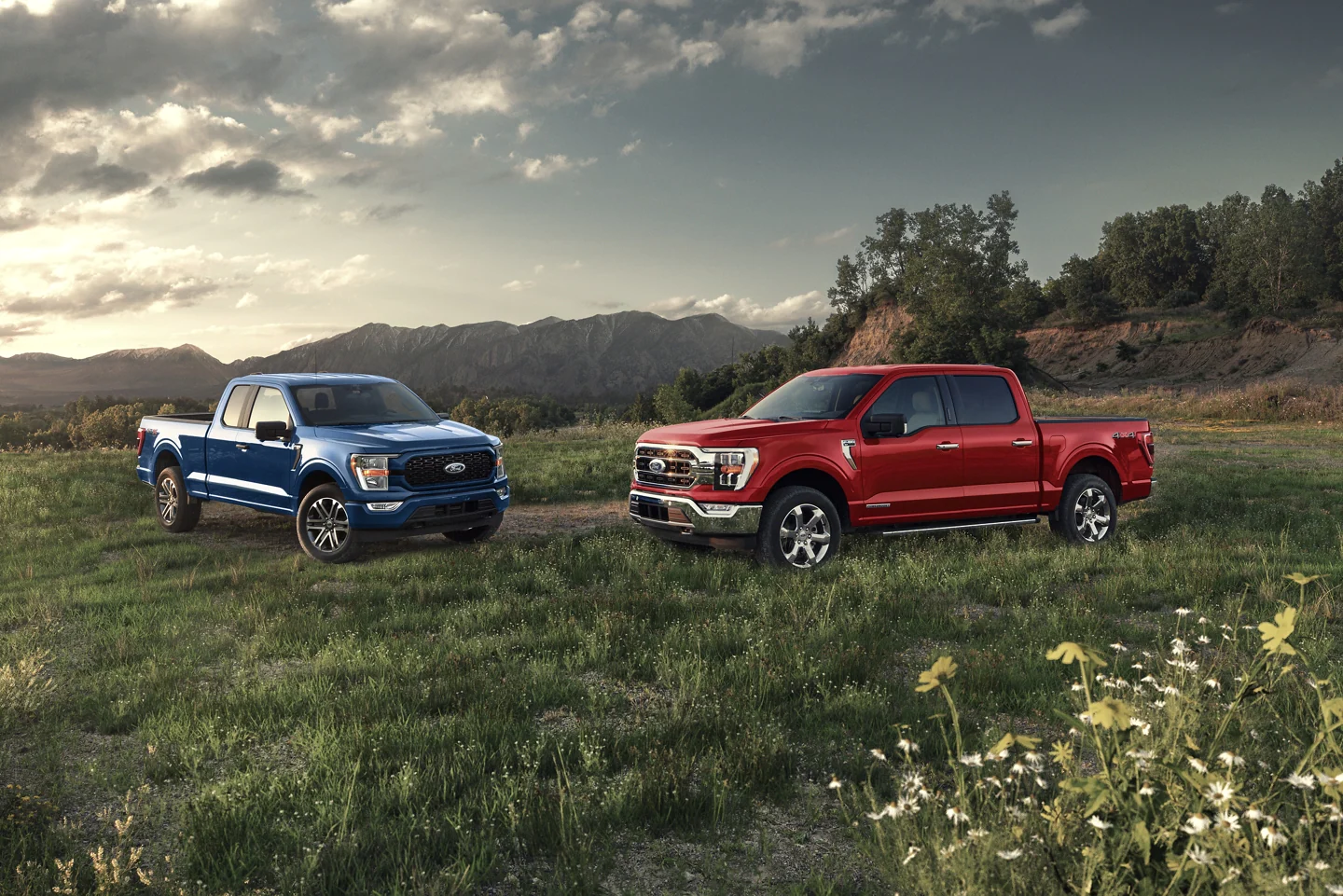 2022 Ford F-150 trims parked in a field