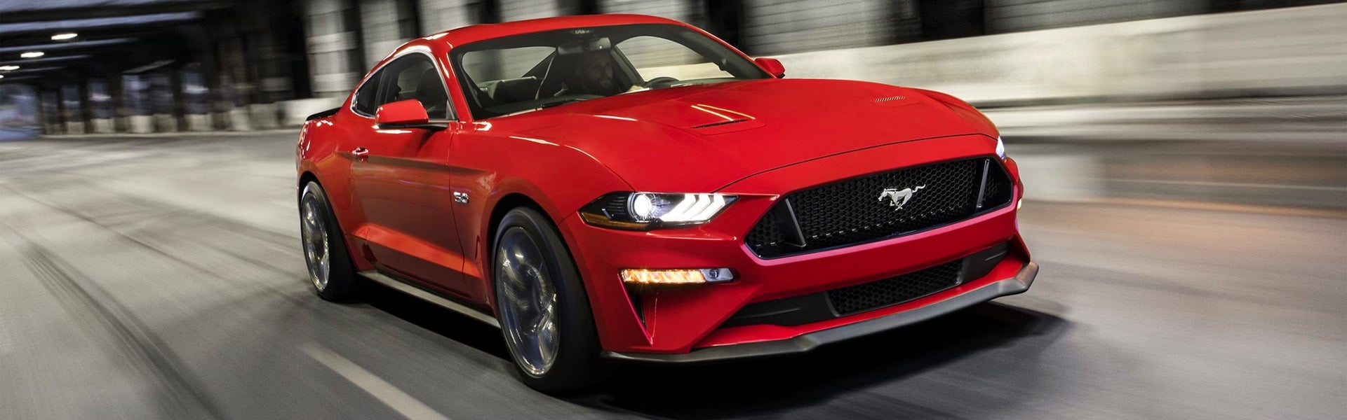 mustang