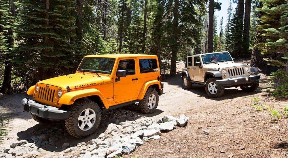 An orange and a silver 2008 used Jeep Wrangler Rubicon are parked in the woods.