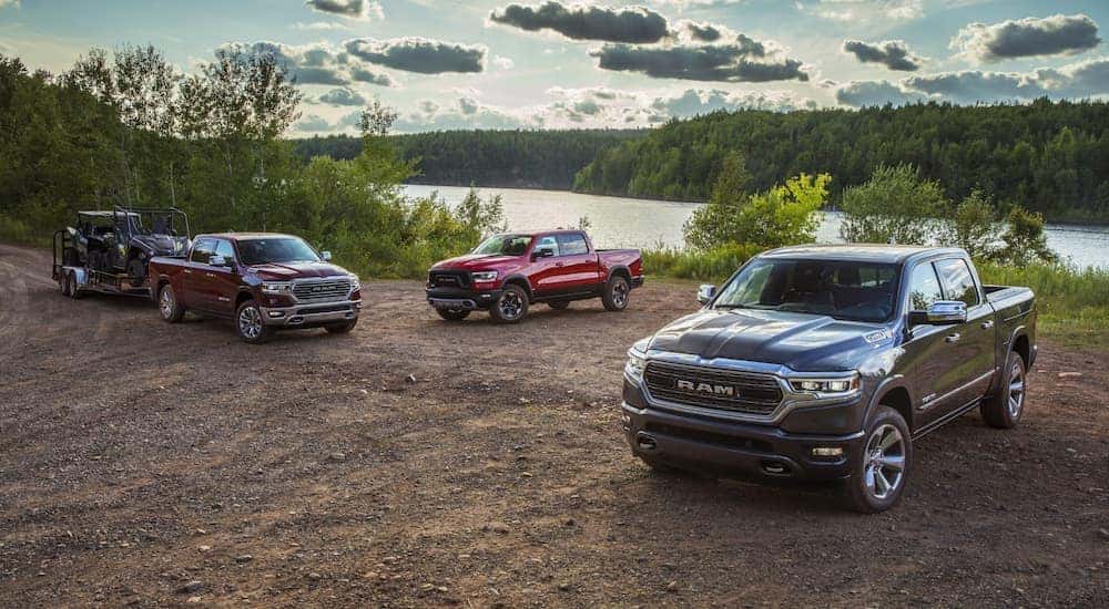 A group of 2020 Ram 1500s are parked in a field after leaving a used car dealership in Lexington.