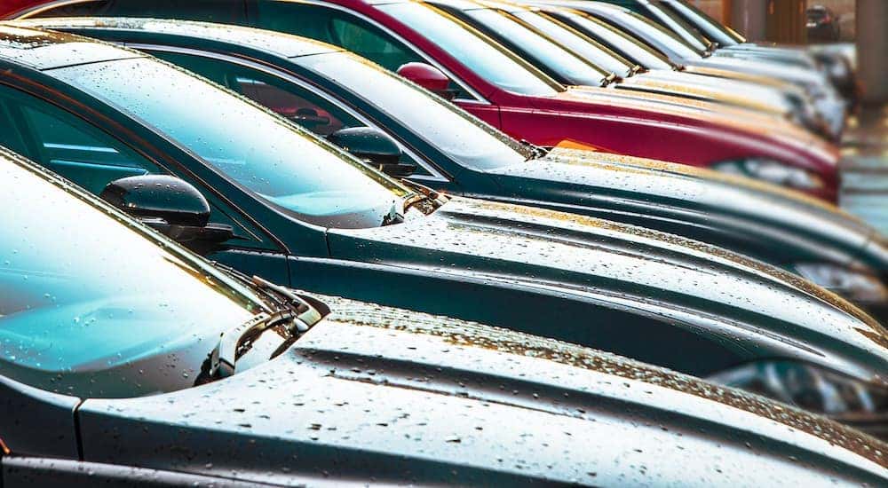 A close up of a row of cars is shown at a used car dealership in Lexington.