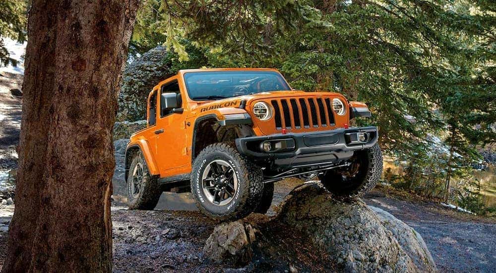 An orange 2019 used Jeep Wrangler Rubicon is off-roading in the woods.