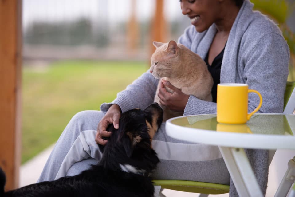 GADGETS YOU NEED AROUND YOUR HOME IF YOU HAVE A FURRY FRIEND