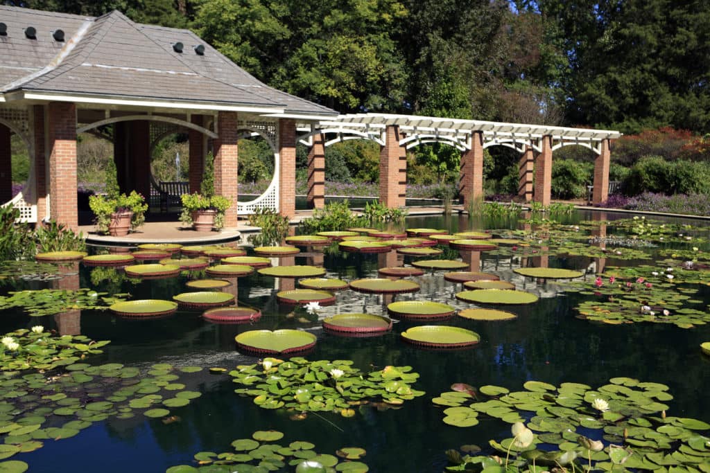 ENJOY FRESH BLOOM VIEWS AT HUNTSVILLE BOTANICAL GARDEN