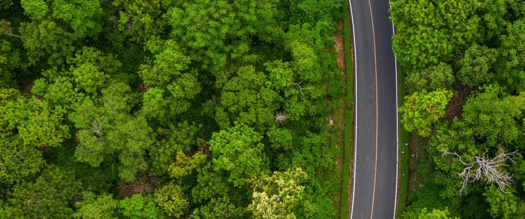 Aerial view of scenic road