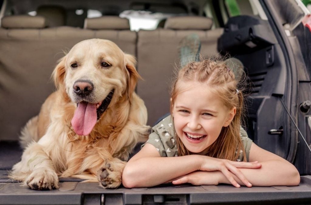 Child with a dog in the car