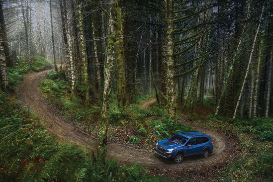 Subaru Forester Wilderness Edition driving through a windy road and dense forest
