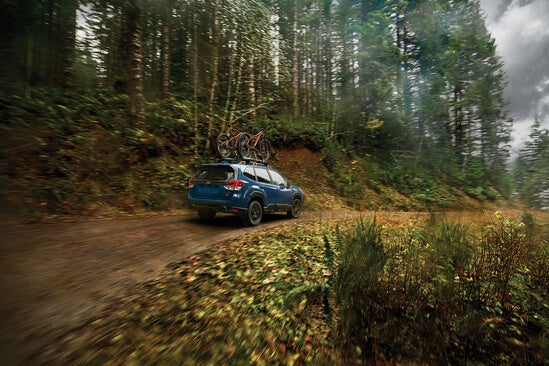 A blue Subaru in a forest