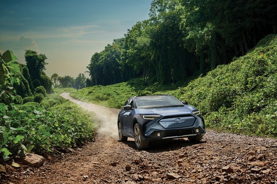 2023 Subaru Solterra driving off road surround by tall trees and vegetation