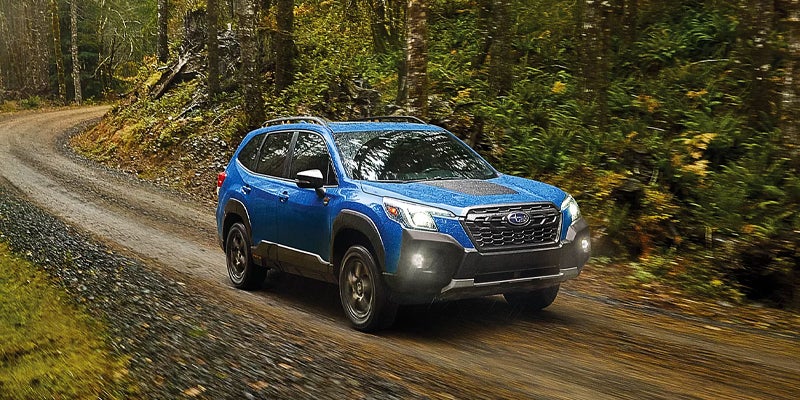 A Subaru Forester driving through the woods