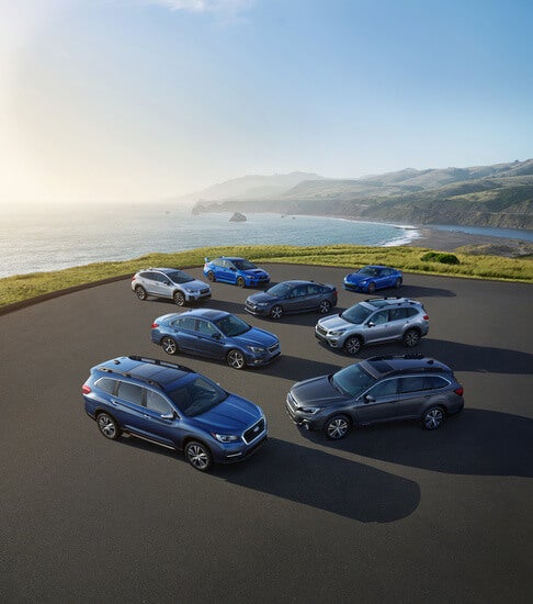 Several Subarus sitting by the ocean