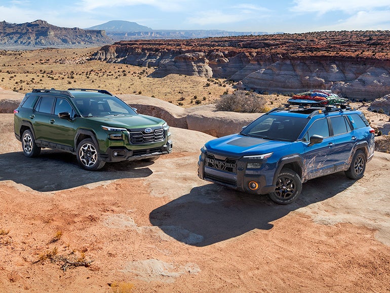 Blue and green Subaru outback