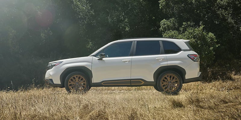 White Subaru Forester in jungle